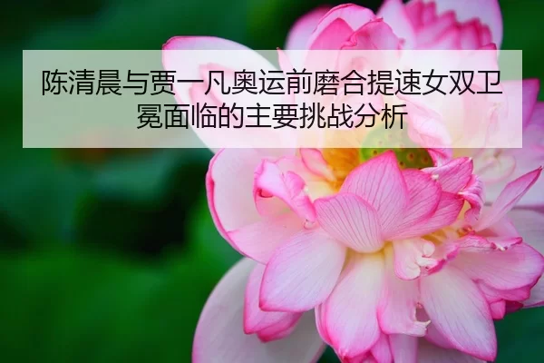 陈清晨与贾一凡奥运前磨合提速女双卫冕面临的主要挑战分析
