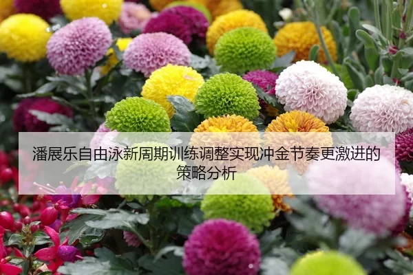 潘展乐自由泳新周期训练调整实现冲金节奏更激进的策略分析
