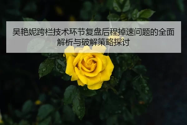 吴艳妮跨栏技术环节复盘后程掉速问题的全面解析与破解策略探讨