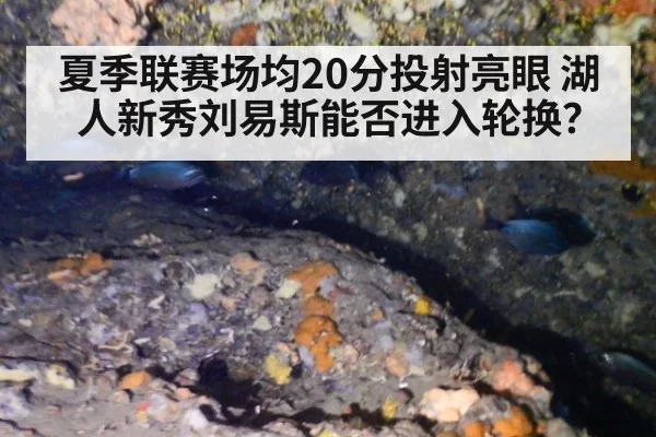 夏季联赛场均20分投射亮眼 湖人新秀刘易斯能否进入轮换？